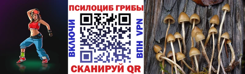 Галлюциногенные грибы Cubensis Зеленогорск