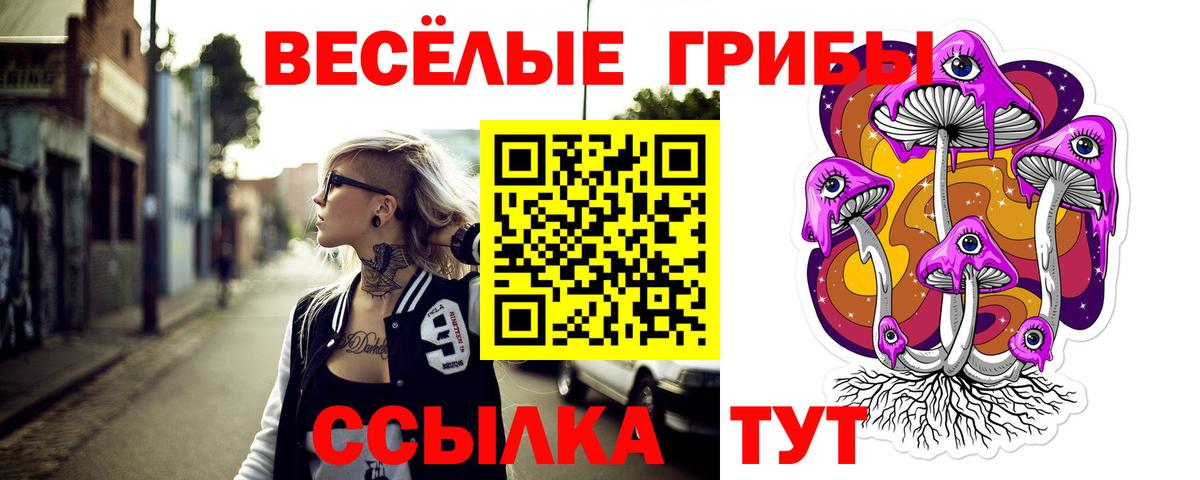 Зеленогорск  Псилоцибиновые грибы MAGIC MUSHROOMS  Вход с VPN 