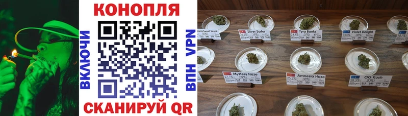 Бошки марихуана конопля  закладка  Зеленогорск 