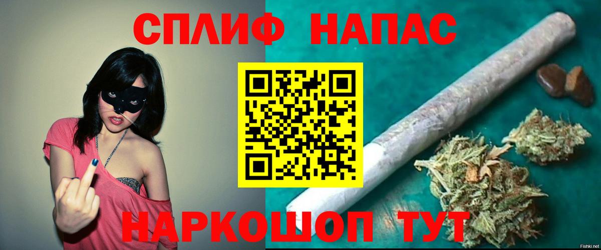 Зеленогорск  Конопля индика  Вход с VPN  Шишки марихуана конопля 